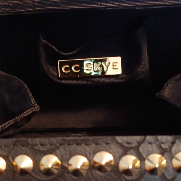 CC Skye clutch bag - Picture 4 of 8